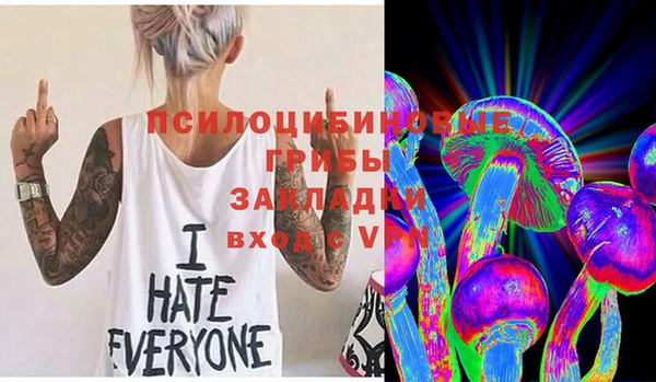 ГАЛЛЮЦИНОГЕННЫЕ ГРИБЫ Медвежьегорск