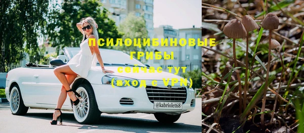 трава Медногорск