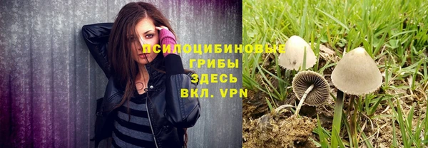 ГАЛЛЮЦИНОГЕННЫЕ ГРИБЫ Медвежьегорск