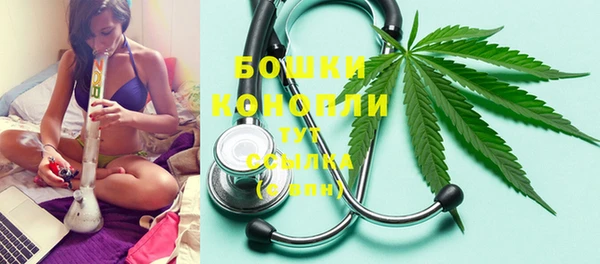 ГАЛЛЮЦИНОГЕННЫЕ ГРИБЫ Медвежьегорск