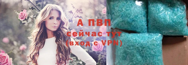 ГАЛЛЮЦИНОГЕННЫЕ ГРИБЫ Медвежьегорск