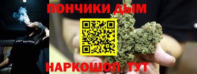 сатива Кандалакша