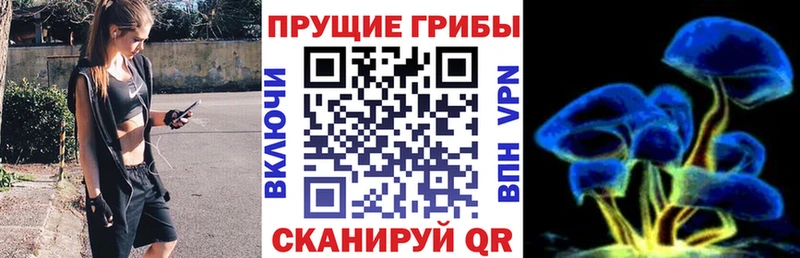даркнет сайт  Гагарин  Псилоцибиновые грибы ЛСД 