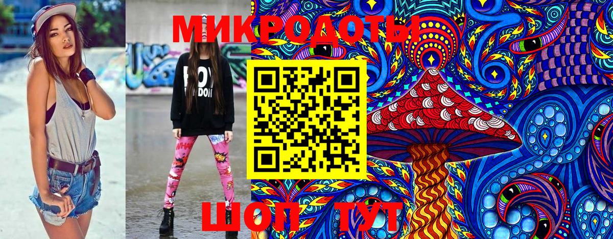 Галлюциногенные грибы Psilocybe Гагарин