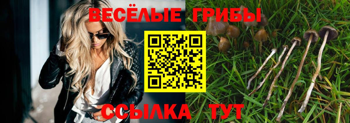 Гагарин  Галлюциногенные грибы Psilocybine cubensis  как найти закладки  Галлюциногенные грибы Psilocybe  Вход с VPN 