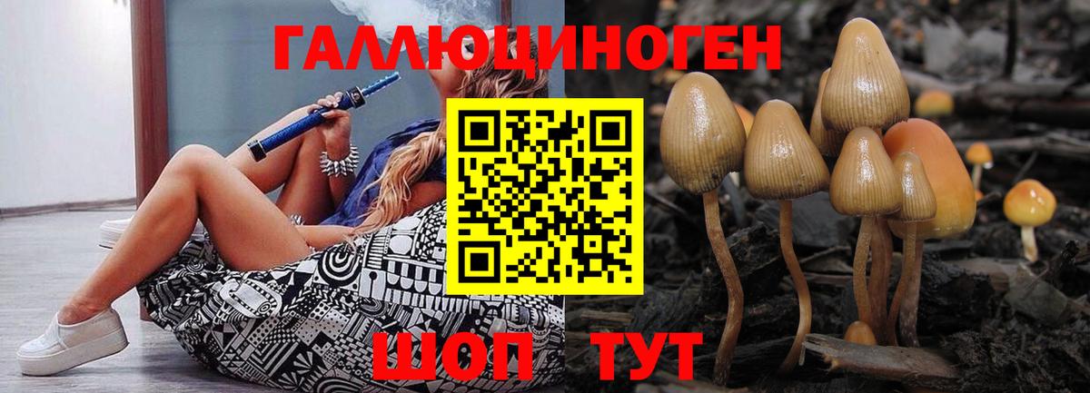 Галлюциногенные грибы Psilocybine cubensis  Галлюциногенные грибы мицелий  закладка  Гагарин 